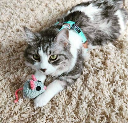 STEP IN BUNDLE - SKY (2 PIECES)