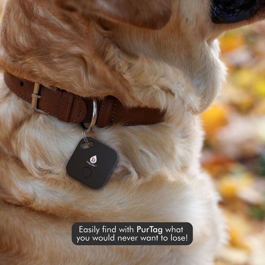 Ultimate Travel Essentials Bundle – Wireless Earbuds, Purtag Tracker & Memory Foam Travel Pillow Set