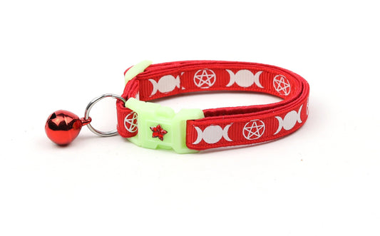Witch's Familiar on Red Cat Collar